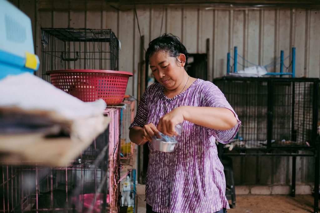 A woman feeding animals in an indoor shelter with several cages around.