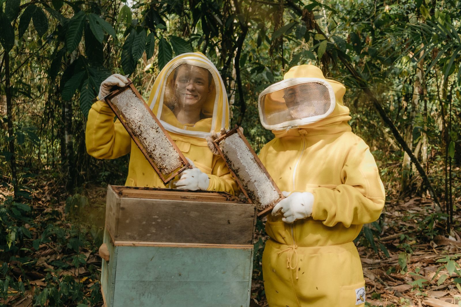 Two beekeepers in yellow suits examine honey frames outdoors in a lush green forest.