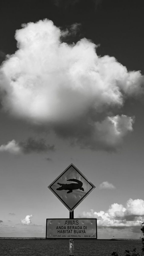 Black and white sign warning of crocodile habitat with striking clouds overhead.