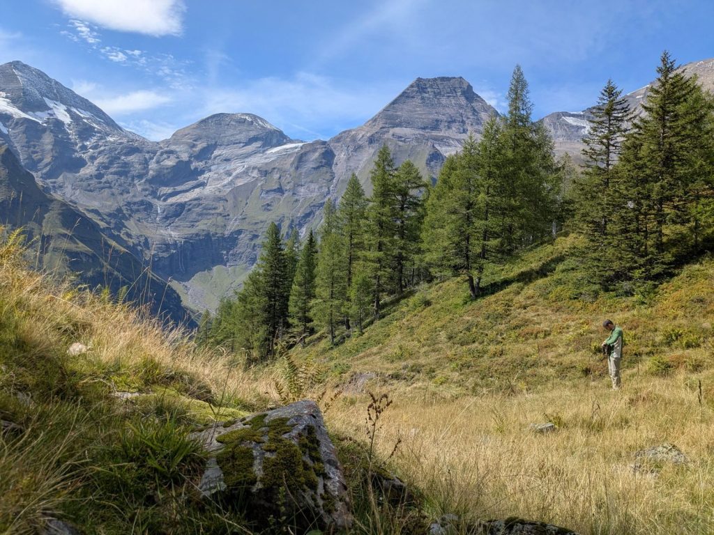 Hiker explores lush alpine meadow with towering mountains in the background.