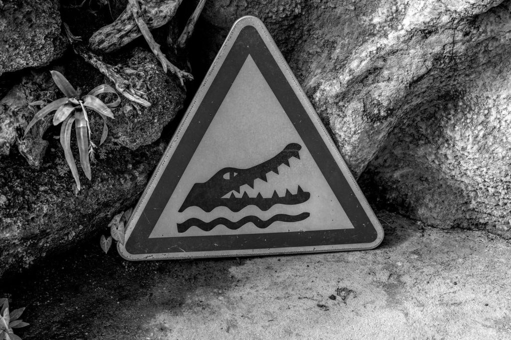 Monochrome image of a crocodile warning sign against a rocky background.