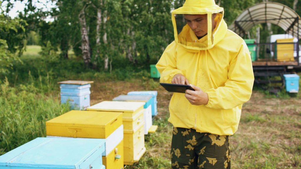 A beekeeper in yellow protective gear uses a tablet near colorful beehives outdoors.