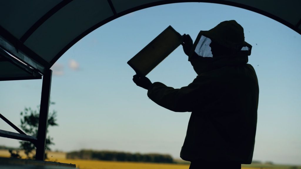A beekeeper in protective gear inspects a honeycomb, captured in silhouette during the day.