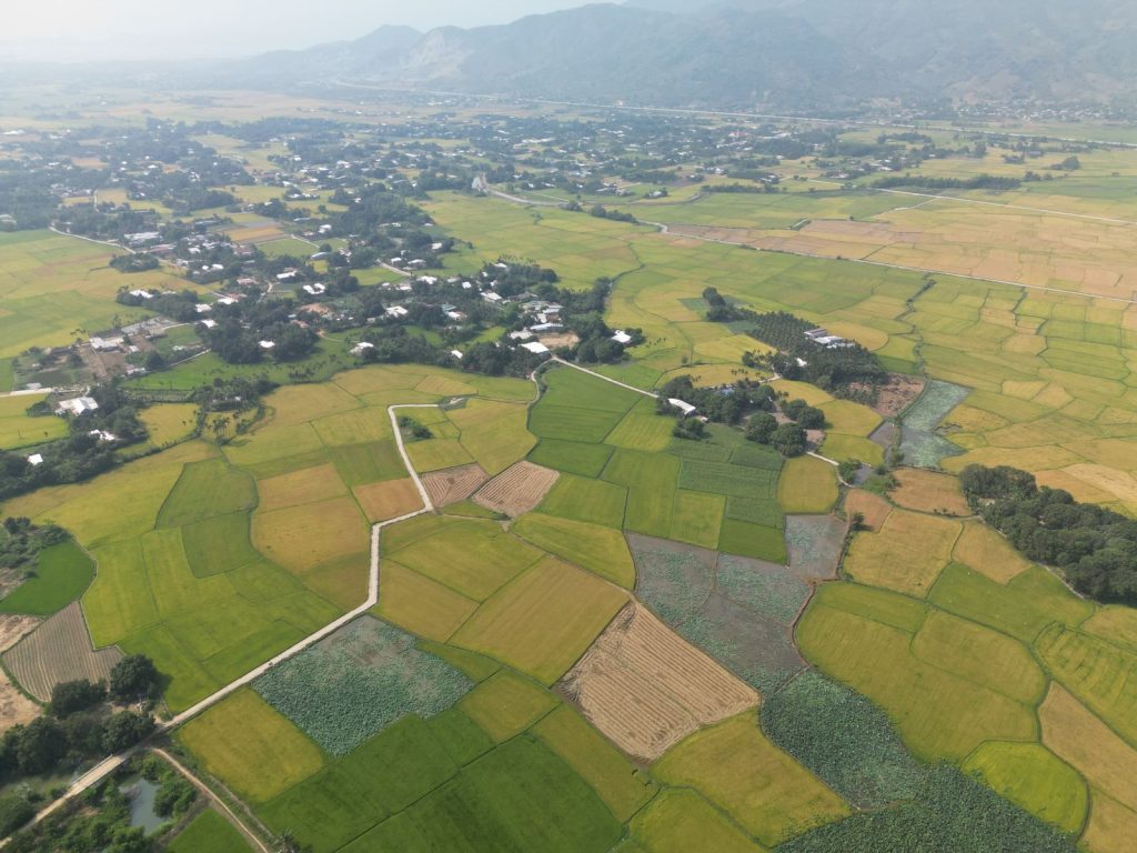 Stunning aerial view of lush rice fields in a Vietnamese countryside, showcasing vibrant green landscapes.