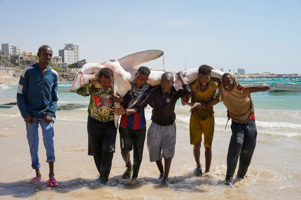 Men carry large fish on a beach