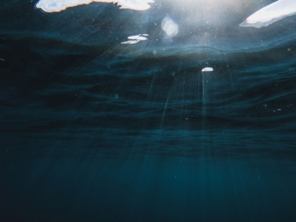 Peaceful underwater scene with sunlight filtering through ocean waves, capturing marine tranquility.