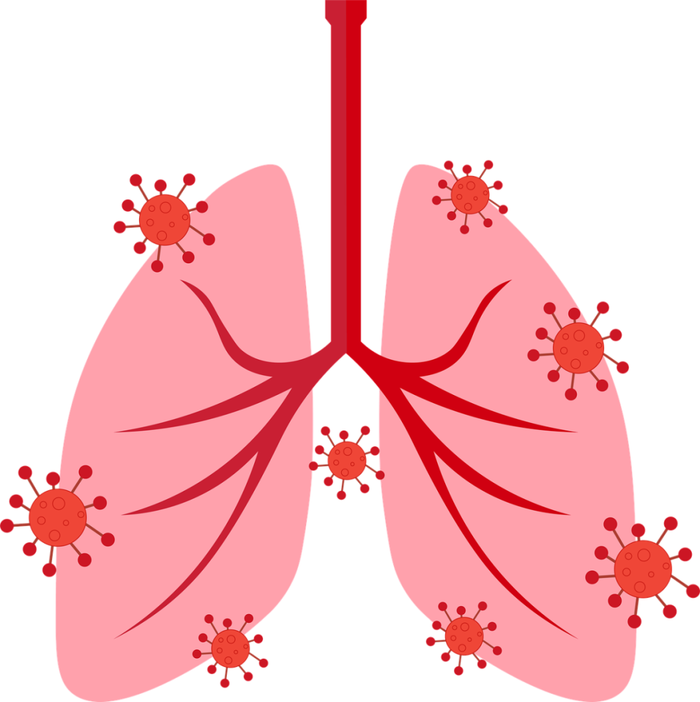 breath, lungs, respiratory, respiratory system, organ, health, medical, diagram, covid-19, coronavirus, infection, bloodstream, illness, disease, bacteria, virus, icon, lungs, lungs, lungs, lungs, respiratory, respiratory, respiratory, respiratory, respiratory system, respiratory system, respiratory system, respiratory system, respiratory system