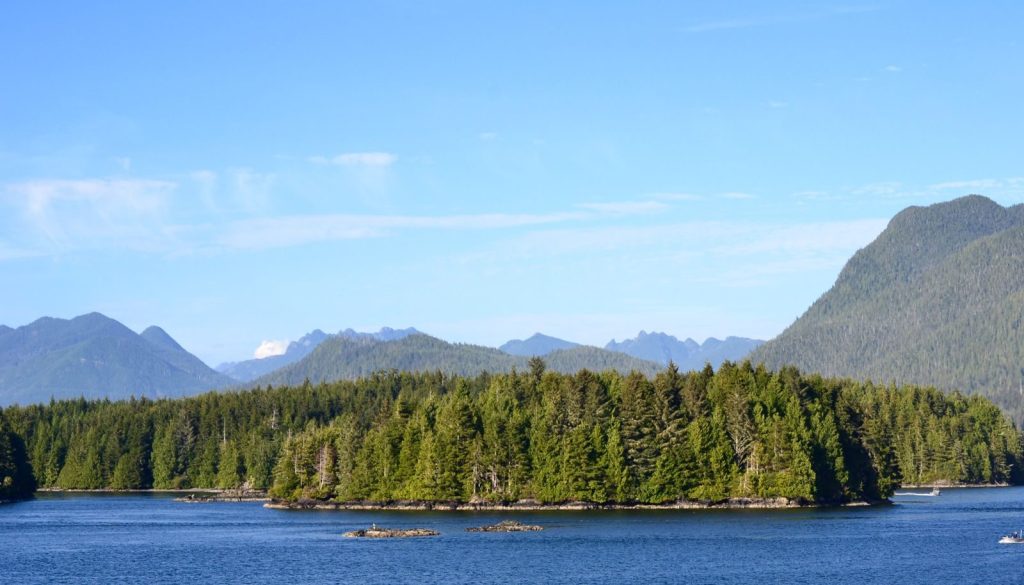 Tranquil view of a forested island surrounded by serene waters and distant mountains in British Columbia.