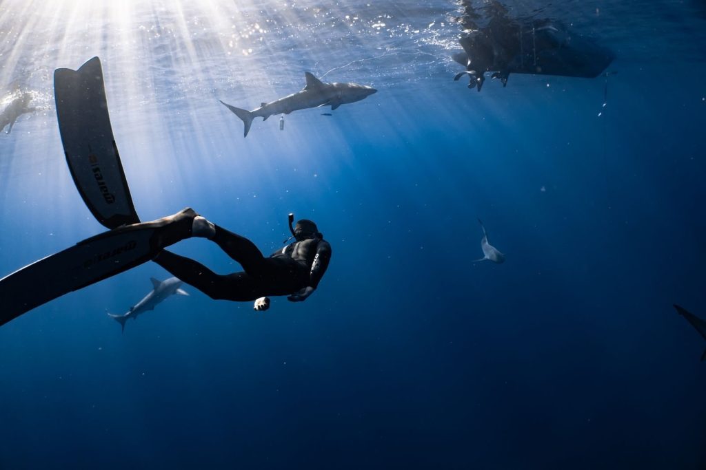 Full body faceless diver in wetsuit snorkeling mask and flippers swimming in dark blue seawater near fish
