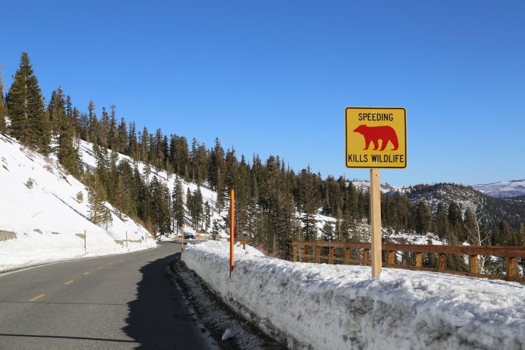 A caution sign warns drivers on a snowy mountain road in Mammoth Lakes.