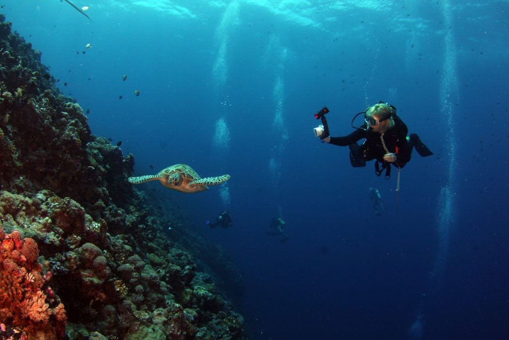 Scuba diver photographing a sea turtle near a coral reef in clear blue water.