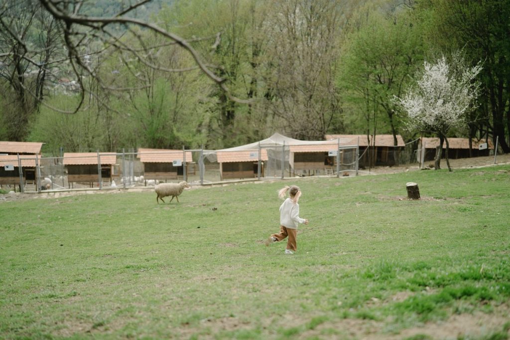 A young child runs joyfully across a green pasture in spring, with sheep and farm enclosures in the background.