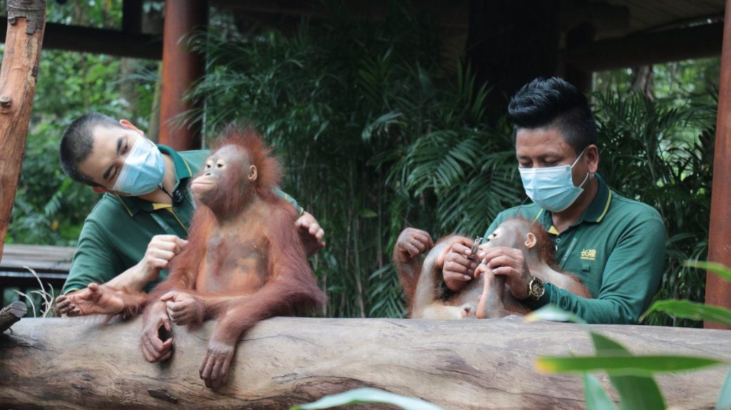 a group of people that are wearing masks