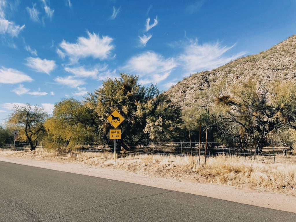 A rural Arizona road with a horse crossing sign, surrounded by desert vegetation.