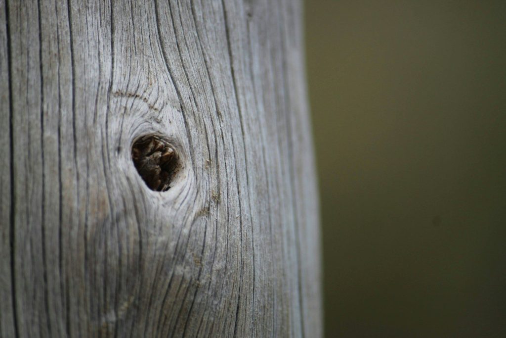 a close up of a wooden post with a hole in it