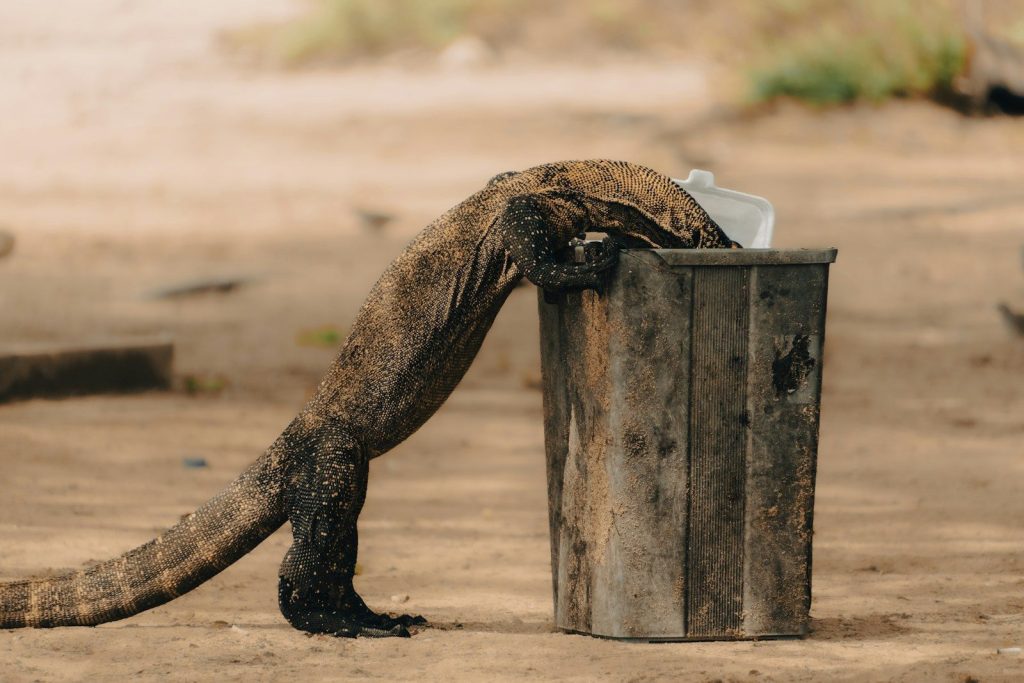 a large lizard standing next to a trash can